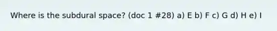 Where is the subdural space? (doc 1 #28) a) E b) F c) G d) H e) I