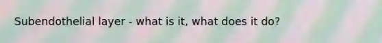 Subendothelial layer - what is it, what does it do?