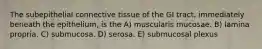 The subepithelial connective tissue of the GI tract, immediately beneath the epithelium, is the A) muscularis mucosae. B) lamina propria. C) submucosa. D) serosa. E) submucosal plexus