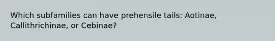 Which subfamilies can have prehensile tails: Aotinae, Callithrichinae, or Cebinae?