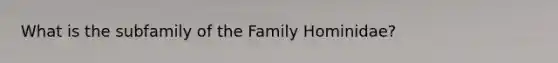 What is the subfamily of the Family Hominidae?