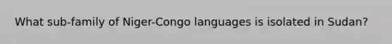 What sub-family of Niger-Congo languages is isolated in Sudan?