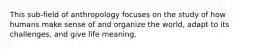 This sub-field of anthropology focuses on the study of how humans make sense of and organize the world, adapt to its challenges, and give life meaning.