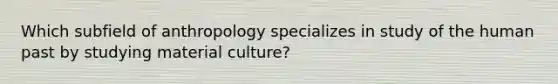 Which subfield of anthropology specializes in study of the human past by studying material culture?