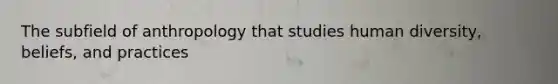 The subfield of anthropology that studies human diversity, beliefs, and practices