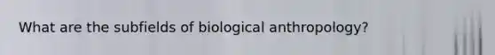 What are the subfields of biological anthropology?