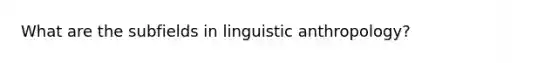 What are the subfields in linguistic anthropology?