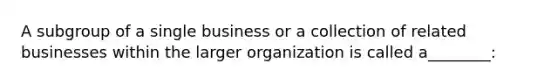 A subgroup of a single business or a collection of related businesses within the larger organization is called a________: