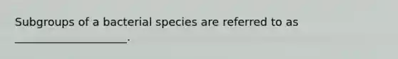 Subgroups of a bacterial species are referred to as ____________________.