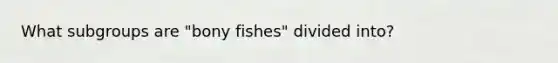 What subgroups are "bony fishes" divided into?