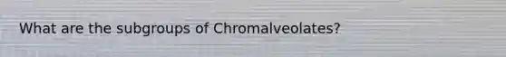 What are the subgroups of Chromalveolates?