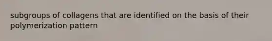 subgroups of collagens that are identified on the basis of their polymerization pattern