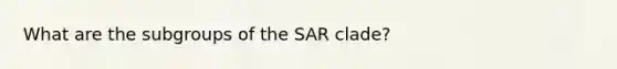 What are the subgroups of the SAR clade?