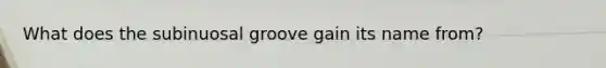 What does the subinuosal groove gain its name from?