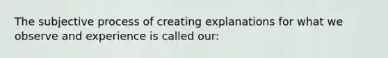 The subjective process of creating explanations for what we observe and experience is called our: