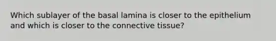 Which sublayer of the basal lamina is closer to the epithelium and which is closer to the connective tissue?