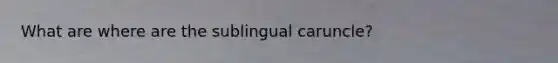 What are where are the sublingual caruncle?