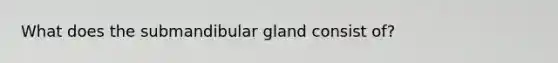 What does the submandibular gland consist of?