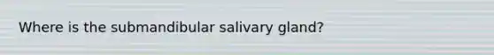 Where is the submandibular salivary gland?