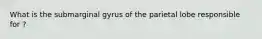 What is the submarginal gyrus of the parietal lobe responsible for ?