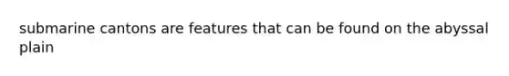 submarine cantons are features that can be found on the abyssal plain