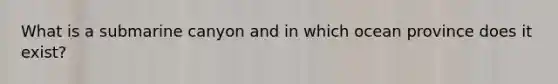 What is a submarine canyon and in which ocean province does it exist?