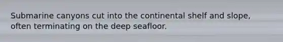 Submarine canyons cut into the continental shelf and slope, often terminating on the deep seafloor.