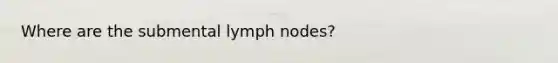 Where are the submental lymph​ nodes?