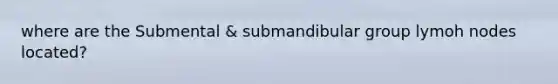 where are the Submental & submandibular group lymoh nodes located?