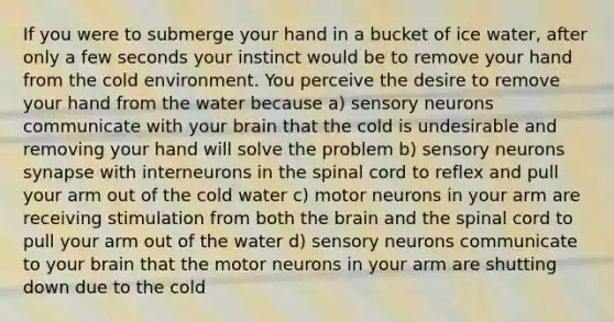 If you were to submerge your hand in a bucket of ice water, after only a few seconds your instinct would be to remove your hand from the cold environment. You perceive the desire to remove your hand from the water because a) sensory neurons communicate with your brain that the cold is undesirable and removing your hand will solve the problem b) sensory neurons synapse with interneurons in the spinal cord to reflex and pull your arm out of the cold water c) motor neurons in your arm are receiving stimulation from both the brain and the spinal cord to pull your arm out of the water d) sensory neurons communicate to your brain that the motor neurons in your arm are shutting down due to the cold