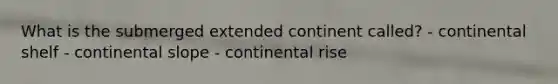 What is the submerged extended continent called? - continental shelf - continental slope - continental rise