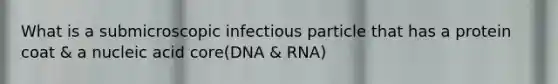 What is a submicroscopic infectious particle that has a protein coat & a nucleic acid core(DNA & RNA)