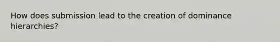 How does submission lead to the creation of dominance hierarchies?