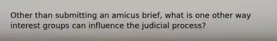 Other than submitting an amicus brief, what is one other way interest groups can influence the judicial process?