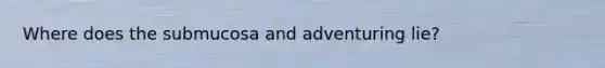 Where does the submucosa and adventuring lie?