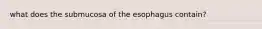 what does the submucosa of the esophagus contain?