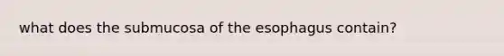 what does the submucosa of the esophagus contain?