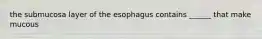 the submucosa layer of the esophagus contains ______ that make mucous