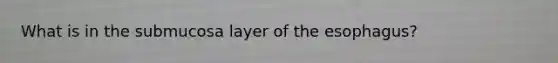 What is in the submucosa layer of the esophagus?