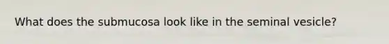 What does the submucosa look like in the seminal vesicle?