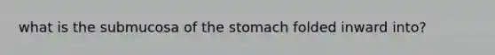 what is the submucosa of the stomach folded inward into?