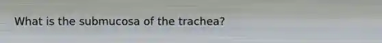 What is the submucosa of the trachea?