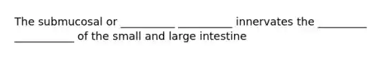 The submucosal or __________ __________ innervates the _________ ___________ of the small and <a href='https://www.questionai.com/knowledge/kGQjby07OK-large-intestine' class='anchor-knowledge'>large intestine</a>