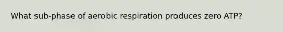 What sub-phase of aerobic respiration produces zero ATP?