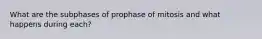 What are the subphases of prophase of mitosis and what happens during each?