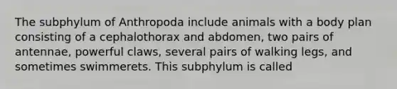 The subphylum of Anthropoda include animals with a body plan consisting of a cephalothorax and abdomen, two pairs of antennae, powerful claws, several pairs of walking legs, and sometimes swimmerets. This subphylum is called