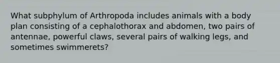 What subphylum of Arthropoda includes animals with a body plan consisting of a cephalothorax and abdomen, two pairs of antennae, powerful claws, several pairs of walking legs, and sometimes swimmerets?