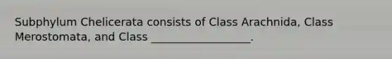 Subphylum Chelicerata consists of Class Arachnida, Class Merostomata, and Class __________________.