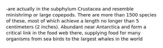 -are actually in the subphylum Crustacea and resemble minishrimp or large copepods. There are more than 1500 species of these, most of which achieve a length no longer than 5 centimeters (2 inches). Abundant near Antarctica and form a critical link in the food web there, supplying food for many organisms from sea birds to the largest whales in the world