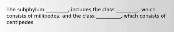 The subphylum _________, includes the class _________, which consists of millipedes, and the class __________, which consists of centipedes